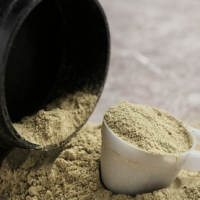 Protein Powders