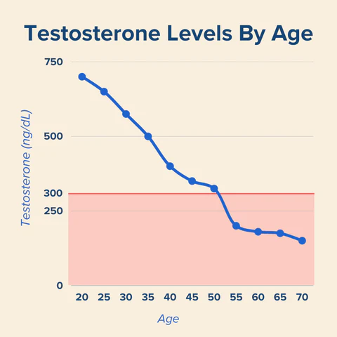 Testosterone Levels by Age